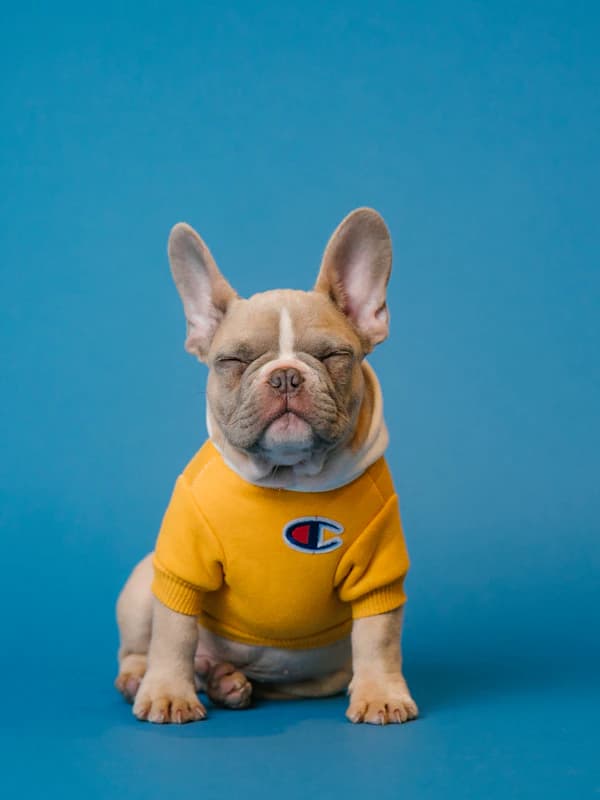 The Duke - original photo