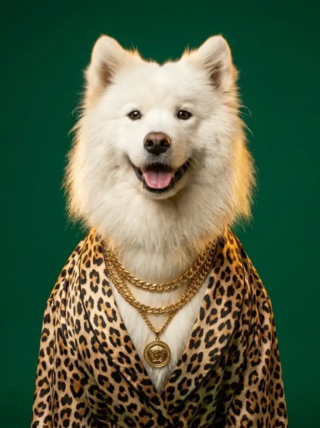 Pug as Baroque Gold