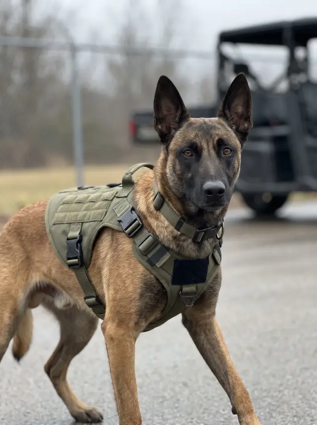 On Duty, AI portrait
